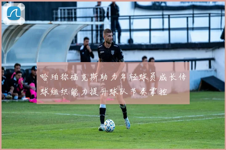 哈珀称福克斯助力年轻球员成长传球组织能力提升球队节奏掌控