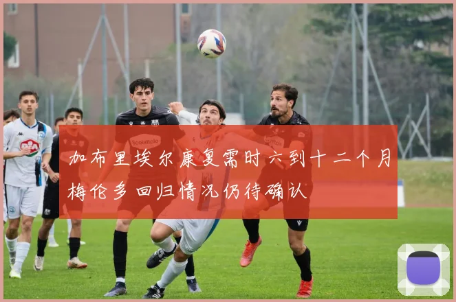 加布里埃尔康复需时六到十二个月梅伦多回归情况仍待确认